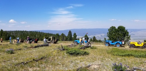 20180718_103704.jpg