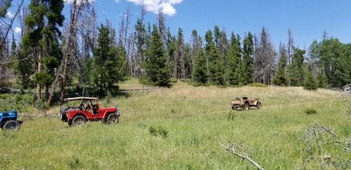 20180719_134434.jpg