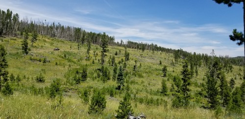20180720_142453.jpg