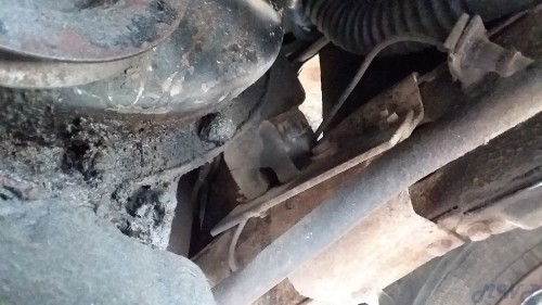 20190925_150537.jpg